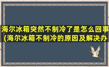 海尔冰箱突然不制冷了是怎么回事(海尔冰箱不制冷的原因及解决办法 看完你就懂)